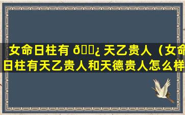 女命日柱有 🌿 天乙贵人（女命日柱有天乙贵人和天德贵人怎么样）